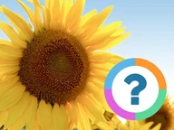 Quiz pour la classe: Nature- Arbres et fleurs