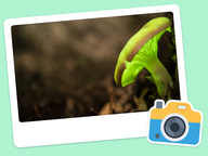 Foto van de dag: Flora & Fauna #006