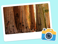 Foto van de dag: Wereldplekken #032